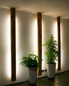 three potted plants are sitting in front of the wall with lights on each side