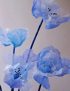 some blue flowers are in a vase with water droplets on the top and bottom petals