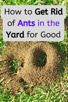 an animal's footprints in the dirt with text overlaying how to get rid of ants in the yard for good