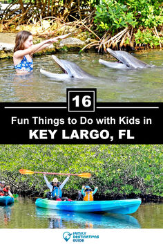 kids in kayaks with dolphins and text that reads fun things to do with kids in key largo, fl