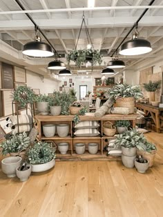 a room filled with lots of potted plants