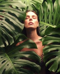 a woman in a leopard print swimsuit is surrounded by large green leafy plants