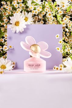 daisy love perfume bottle with daisies in the background