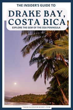 the insider's guide to drake bay, costa rica explore the gems of the costa peninsula