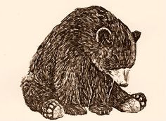 a drawing of a bear sitting on the ground with its paw in it's mouth