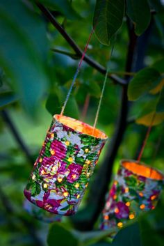 two colorful lights hanging from a tree branch