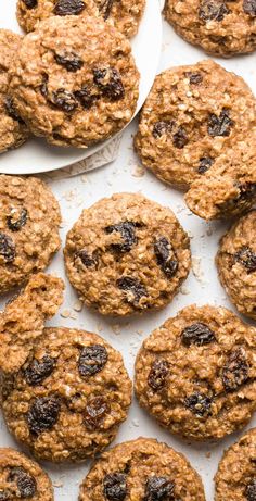 oatmeal raisin chocolate chip cookies laid out on a sheet of parchment paper