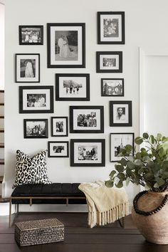 a living room with pictures on the wall and a bench in front of it next to a potted plant