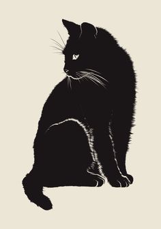 a black cat sitting on top of a white floor in front of a gray background