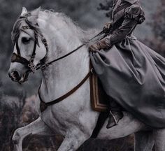 a woman riding on the back of a white horse