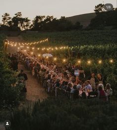 a large group of people sitting at tables in the middle of a field with lights strung over them