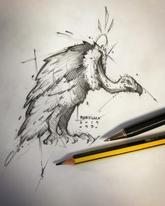 a pencil drawing of a bird with wings and beaks on it's back