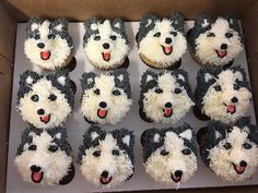 cupcakes with white frosting and black dog's faces are in a box