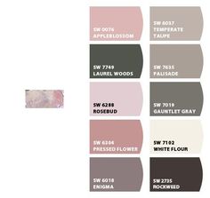 several shades of pink, brown, and white paint with the names of each color