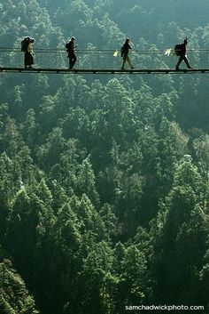 people walking across a suspension bridge over a forest