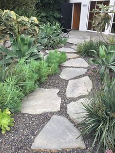 a stone path in the middle of a garden