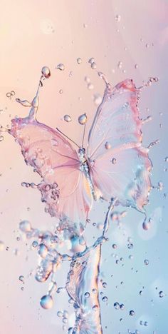 a butterfly flying through the air with water droplets