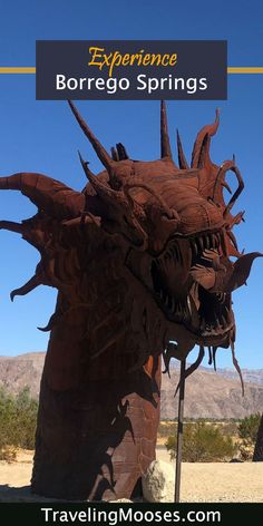 a large dragon statue with the words experience borrego springs on it