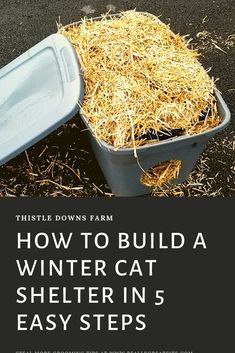 how to build a winter cat shelter in 5 easy steps with instructions for building your own house