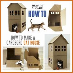 there is a cardboard house with cats in it and the words how to make a cardboard cat house