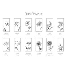 the different types of flowers are shown in black and white, with each flower's name