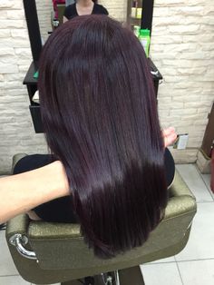 Burgandy Hair Layered, Eggplant Balayage, Eggplant Hair Color Dark, Midnight Violet Black Hair, Black Violet Hair, Black Burgundy Hair