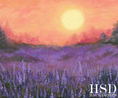 a painting of the sun setting over a field of purple flowers with trees in the background