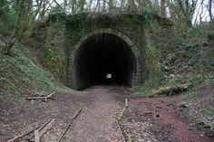 a tunnel in the middle of a forest filled with trees