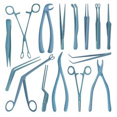 Here are notes on common surgical instruments used in vet med! Surgical Tech, Card Banner, George Clooney, Poster Invitation, Presentation Template Free, Iconic Photos, Good Notes