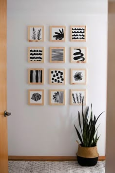 a plant is sitting on the floor in front of some framed pictures