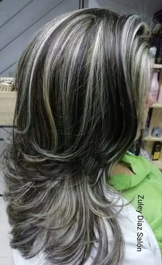 Hair Highlights And Lowlights, Braids For Medium Length Hair, Going Grey, Gray Hair Cuts, Grey Hair Styles For Women, Hairstyles For Medium Length Hair Easy, Long Gray Hair