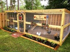 an outdoor chicken coop with chickens in it