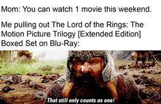 an image of a man with a beard in the middle of a field and text that reads mom you can watch 1 movie this weekend me pulling out the lord of the rings