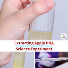 a hand holding a test tube filled with liquid and the words extrating apple dna science experiment