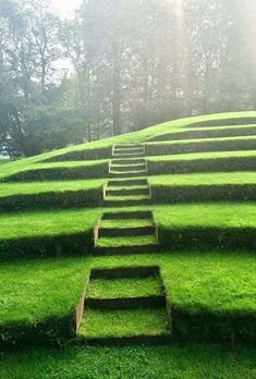 a large grassy field with steps leading up to it