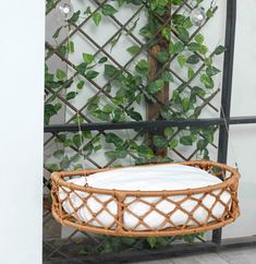 a wicker hanging basket with white pillows on the floor next to a green plant