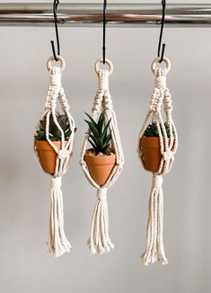 three macrame plant hangers with plants in them