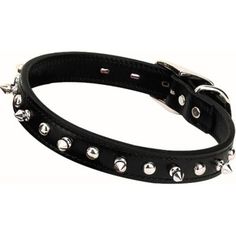 a black leather dog collar with metal spikes