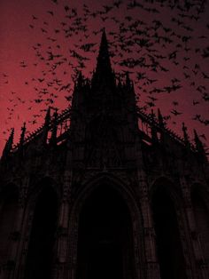 a flock of birds flying over a gothic cathedral