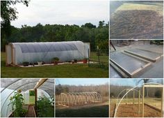 several pictures of different types of greenhouses in various stages of growing and opening up