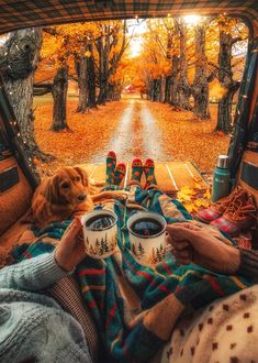 a dog sitting in the back of a truck with its owner holding two mugs