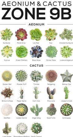 the poster shows different types of plants