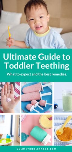 the ultimate guide to toddler teeth what to expect and the best remedies