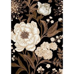 Golden Rose Poster Print - Incado-VARPDXIN326741 Image 1 Rose Poster, Flower Room, Brown Wall Art, Botanical Wallpaper, Expressive Art, Golden Rose, Gold Wallpaper, Bathroom Wallpaper, Stock Paper