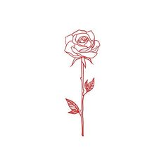 a single red rose with leaves on a white background, drawn by hand in ink