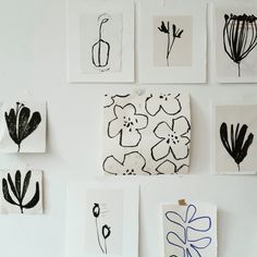 some black and white drawings are hanging on the wall next to each other, with one blue flower in the middle