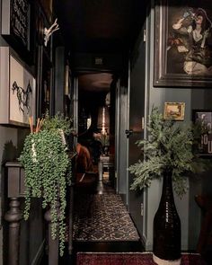 a hallway with green plants and pictures on the wall