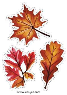 three autumn leaves are shown in this watercolor painting technique, and each leaf has different colors