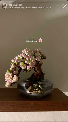 a bonsai tree with pink and white flowers on it's base is displayed