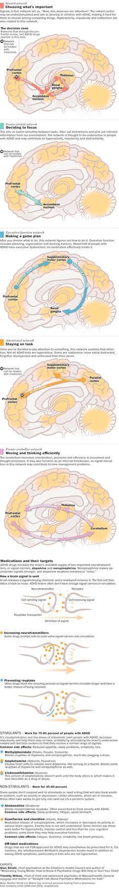 Your brain on ADHD Brain Science, Learning Disabilities, Neurology, Ear Rings, Neuroscience, Washington Post, The Washington Post, Your Brain